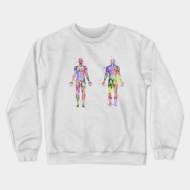 Human Body Muscles Watercolor Crewneck Sweatshirt by LotusGifts